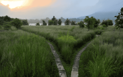 When Waiting Becomes the Riskiest Move: A New Framework for Leading Through Uncertainty