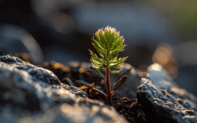 11 Lessons from 15 Years in Business: What I Wish I'd Known Sooner